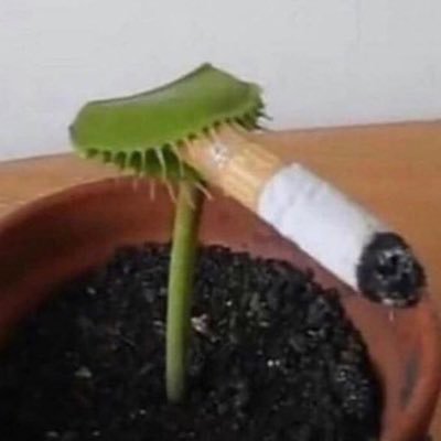 xxSkeletor420xx's profile picture. There is non I just like art and memes 25