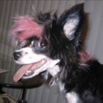 kiriko111111's profile picture. 
