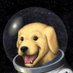 Nik| “⚡$GOD 🟧 'Reddio'(Ø,G)".ink"⌘.lvlHUDL (@nikolai29219509) Twitter profile photo Nik| “⚡$GOD 🟧 'Reddio'(Ø,G)".ink"⌘.lvlHUDL (@nikolai29219509) Twitter profile photo