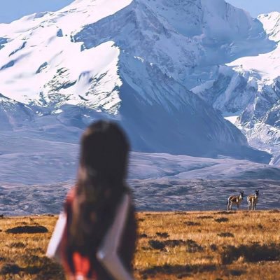 Kingstiktok2's profile picture. Provide the public with the latest and most authoritative news.                              💯💯