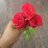 rajikpc14's profile image