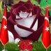 GürcanKD (@gurcandogan) Twitter profile photo