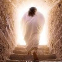 He's alive! (@almam5) 's Twitter Profile