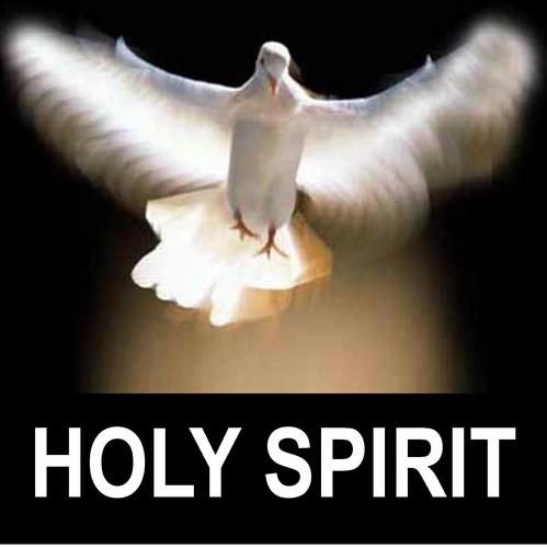 BIBLEHolySpirit Profile Picture