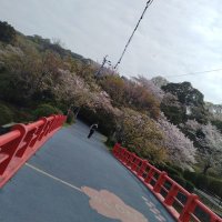 Noiqn (@noiqndesu) Twitter profile photo