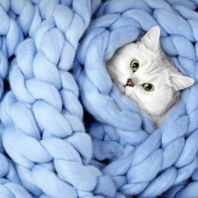 Hadeel_i_'s profile picture. ACC graduate ♡