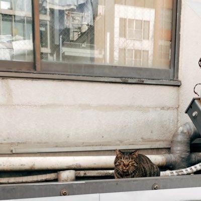 harapeco_1104's profile picture. hu CIS CS 23k