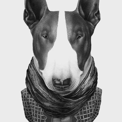 σκύλος 🐕 με φωνάζουν bundyRey είμαι ένα ατίθασο bull terrier  και το μόνο μου μέλημα  το παιχνίδι το φαγητό,ο ύπνος αγκαλιά με την όμορφη μαμά μου