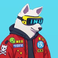 DegenLord (@irfan_hula) 's Twitter Profile