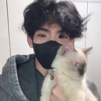 toshi (@_ohshiro) 's Twitter Profile