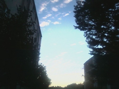 kt1218010's profile picture. 힘없는 민초 양 벽사이 해 비치어 그늘없기를