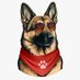 Astro Pet (@astro_pet_tech) Twitter profile photo Astro Pet (@astro_pet_tech) Twitter profile photo