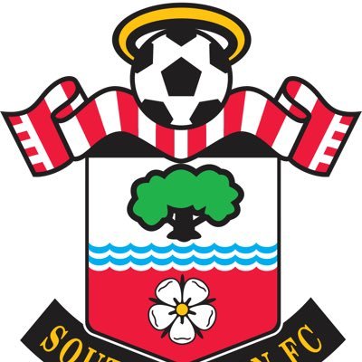 PaintTrophy's profile picture. #saintsfc fan since 1996