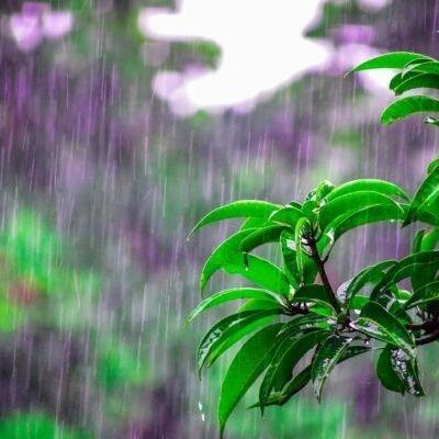 shigure44613's profile picture. 