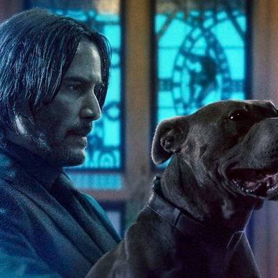 JuMec8663's profile picture. No a la ONU
No a la agenda 2030
No al marxismo ni Boric