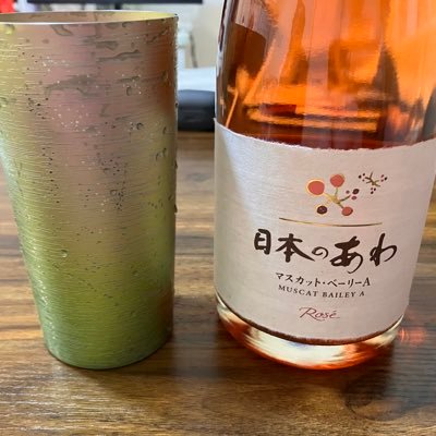 きゅうてい物理系院卒。トポロジカル物質などの物性物理と機械学習が大好きなアラサー。transformer系だとinformer,Swintransformer、CNN系ではDCNv3、その他MLPmixerなどを趣味で実装したり。いまはMistralのLoRAチューニングが楽しい。保守派の政党を応援します。