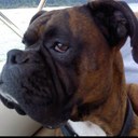 Matthew Alsip - @mralsip2 - Twitter