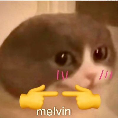 Henlo :3

Pls pat me
He/melvin 🏳️‍🌈
Slut
I'm fucking throbbing 
Follow me for more recipes 
MAKE UR PFP A MELVIN TO BECOME A PART OF THE MELVINVERSE