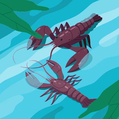 paudeoculoscu's profile picture. 