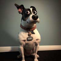 Max and Ruby (@max_n_ruby) 's Twitter Profile