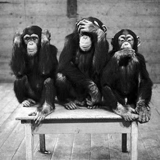 eltercermono's profile picture. 