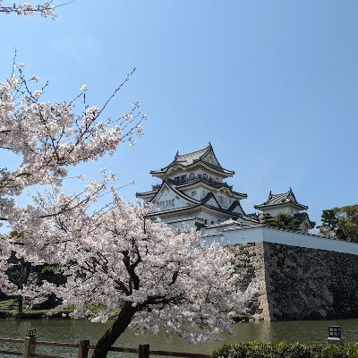 南の島でビールと泡盛を飲みながらのワーケーションに憧れる開業社会保険労務士の雑談アカ🏝️
公務員時代は、野球部監督をはじめ、政策企画、情報化推進、広域行政、統計調査、生活保護、議会事務、教育委員会事務等に従事。令和2年の特別定額給付金事務も今は良き思い出？
未登録ですが行政書士資格も持っています。