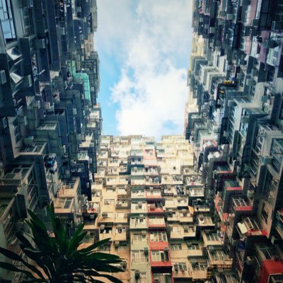 eternalzard's profile picture. ZARD Forever