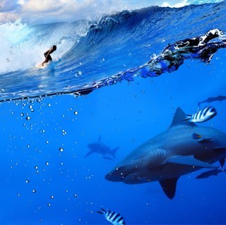 Ronison78m's profile picture. 