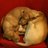 Avondale_Brian's profile image