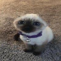 coverr (@coverr_fn) 's Twitter Profile
