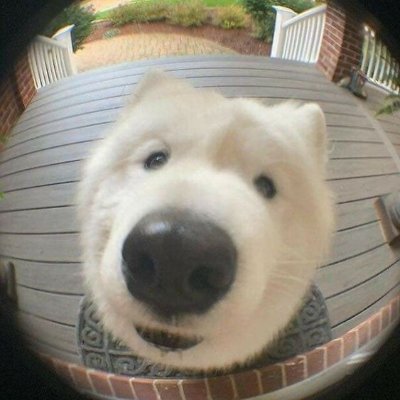 runglay23's profile picture. 