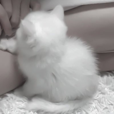 KLv2R1's profile picture. ２１歳♡ 初心者です！