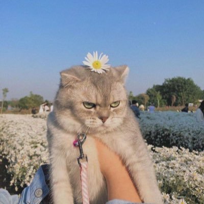 heyns849's profile picture. why