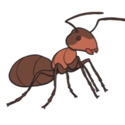 DiogenesFake's profile picture. A realist in search for the truth.
Yes to reason, logic, facts and critical thinking. 
No to moralism, ideology, virtue-signaling and emotional thinking.