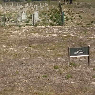 QINISILE225928's profile picture. 