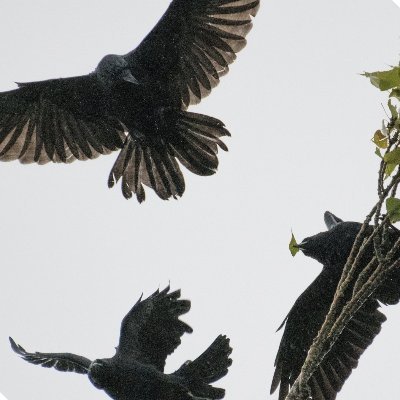 bienfilatre's profile picture. 