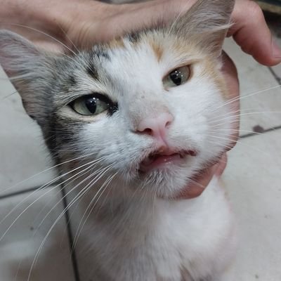 boq6o9's profile picture. dopqob