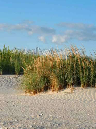 Coastal Photography and Greeting Cards from the Beach.