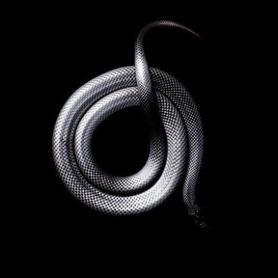 BEST DARK PRODUCER IN EU hmu for business inquiry. Loop/Beat maker