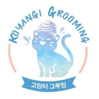  koyangigrooming(@koyangigrooming) 's Twitter Profile Photo