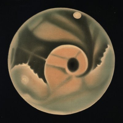 PalestraSociety Profile Picture