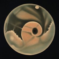 Palestra (@palestrasociety) 's Twitter Profile Photo Palestra (@palestrasociety) 's Twitter Profile Photo