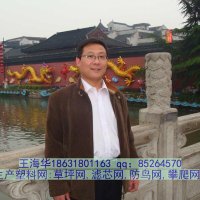 Mark Wang (@plasticmeshnet) 's Twitter Profile