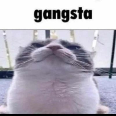 Collector of 'down bad' images
'Replies' for memes, 'Likes' for the sus(WARNING: includes femboys)
UPDATE: LIKES ARE PRIVATE NOOOOOOOOOOO