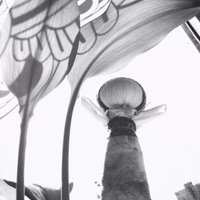 FD3utschman (@flydeutschman) 's Twitter Profile Photo