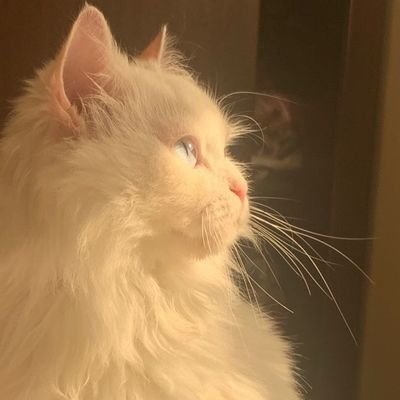 hcny713's profile picture. 