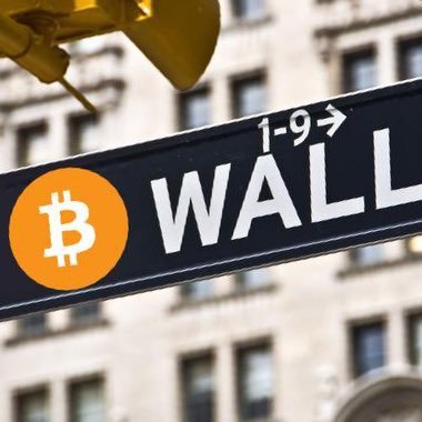 LionOfAllStreet's profile picture. 