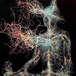 brandoheck's profile picture. brandon teehee I silly drawing