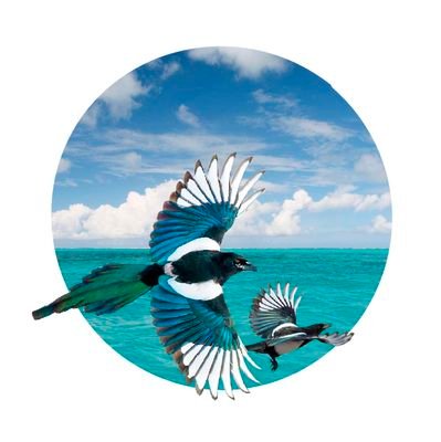 JingYuan_XiQue's profile picture. 