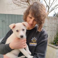 Dr Hannah Bradwell (@bradwellhannah) 's Twitter Profile